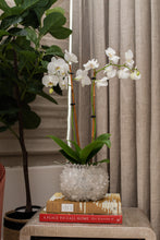 Load image into Gallery viewer, Quartz Bowl Vase