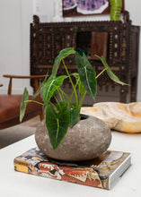 Load image into Gallery viewer, Stone River Planter