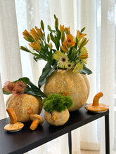 Load image into Gallery viewer, Pumpkin