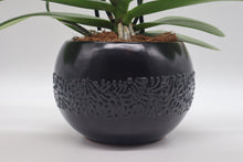 Load image into Gallery viewer, Black Talavera-Style Multipurpose Bowl
