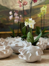 Load image into Gallery viewer, Alicia Orchid