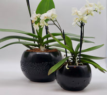 Load image into Gallery viewer, Black Talavera-Style Multipurpose Bowl