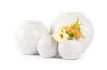 Load image into Gallery viewer, Isabel Talavera Vase in White