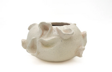 Load image into Gallery viewer, Alicia Orchid