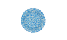 Load image into Gallery viewer, Plumas Sunflower Platter