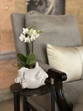 Load image into Gallery viewer, Alicia Base