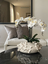 Load image into Gallery viewer, Alicia Base