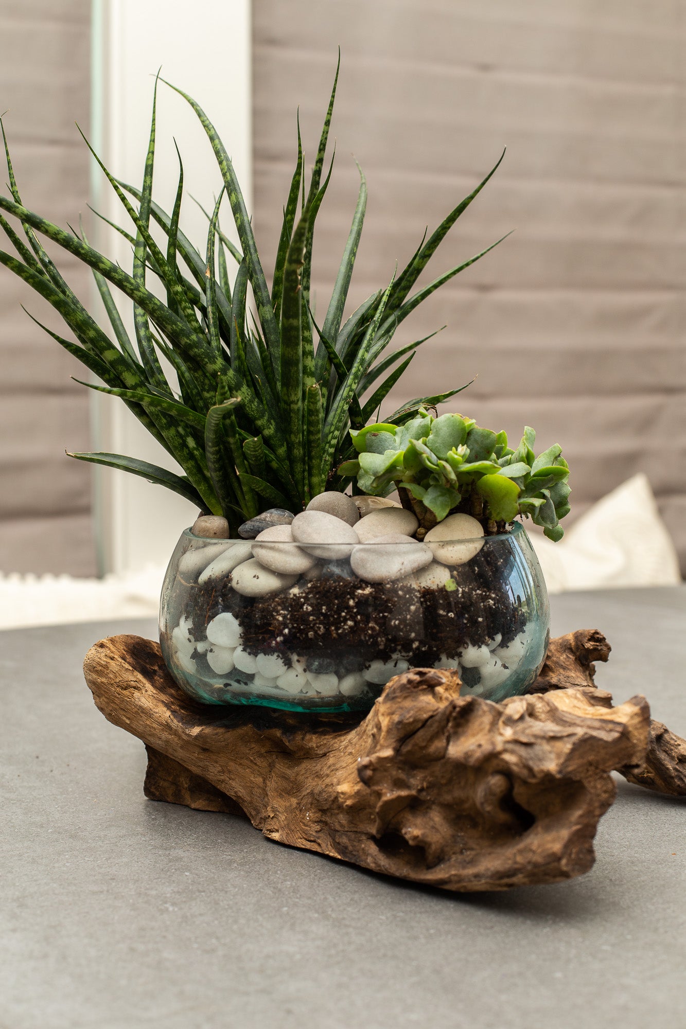 Terrarium