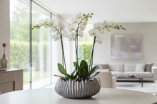 Load image into Gallery viewer, Modern Marble Bowl
