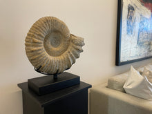 Load image into Gallery viewer, Cuarzo - Ammonite III
