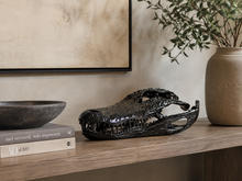 Load image into Gallery viewer, Alligator Skull
