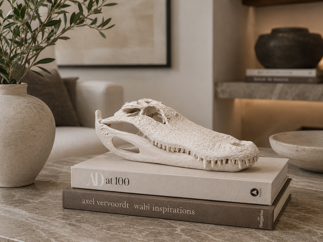 Alligator Skull – Shop Agave