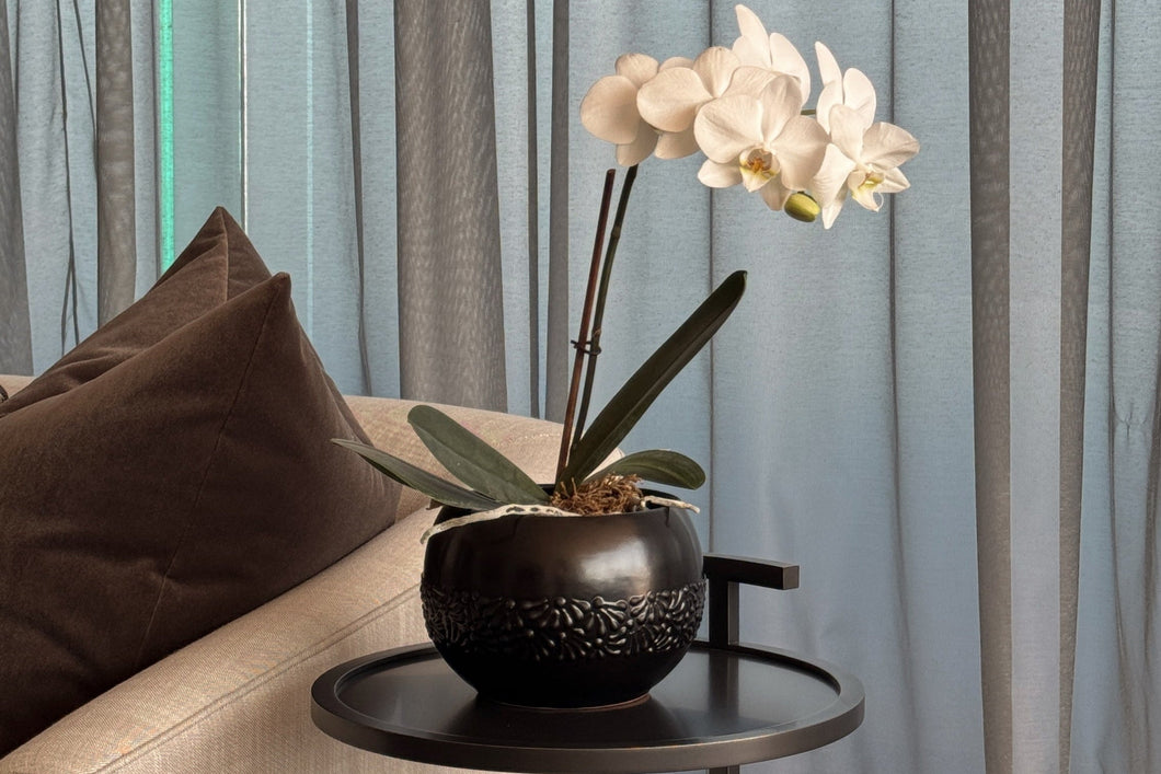 Decorative table with a black pot and white orchids in front of sheer curtains.