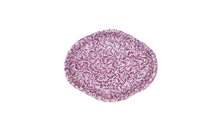 Load image into Gallery viewer, Plumas Large Oval Platter

