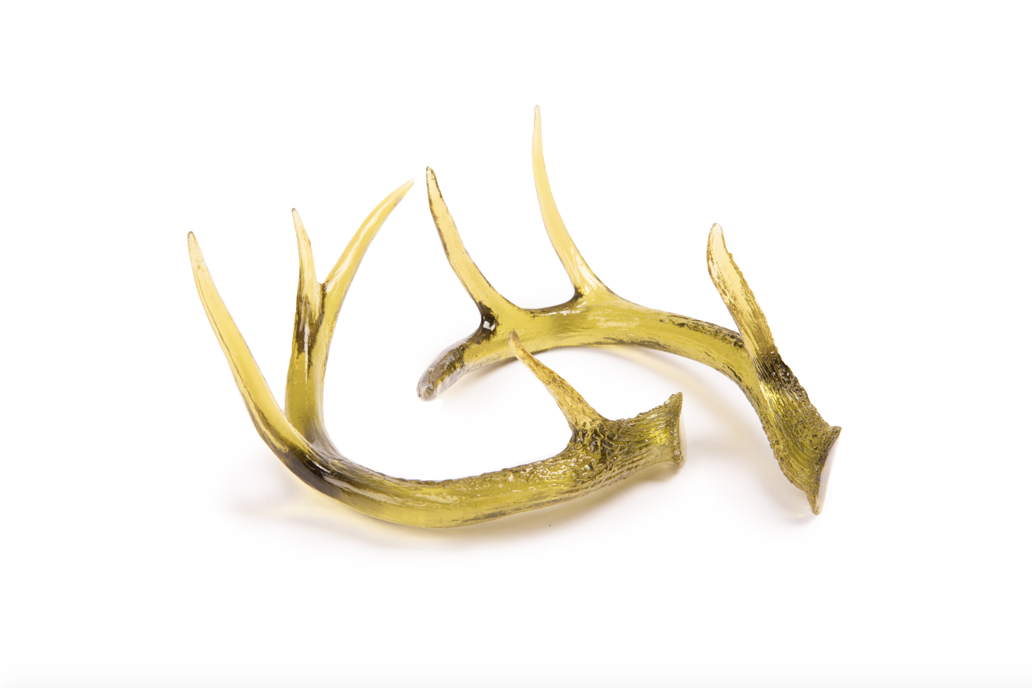 What Are The Dangers Of Deer Antlers? Quora, 47% OFF