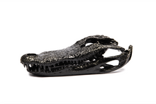 Load image into Gallery viewer, Alligator Skull
